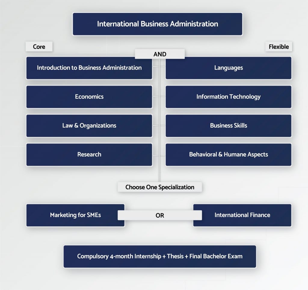 skills needed for international business