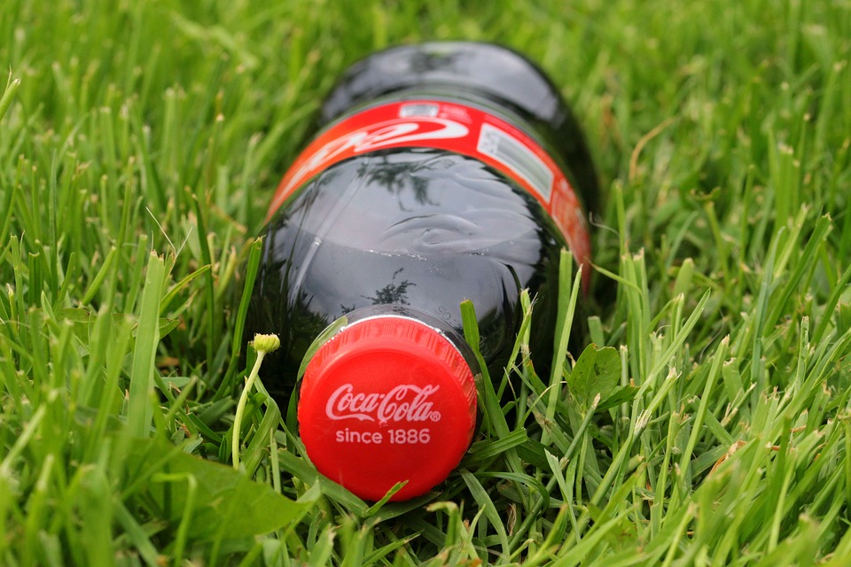 Sustainability Project with Coca-Cola Austria